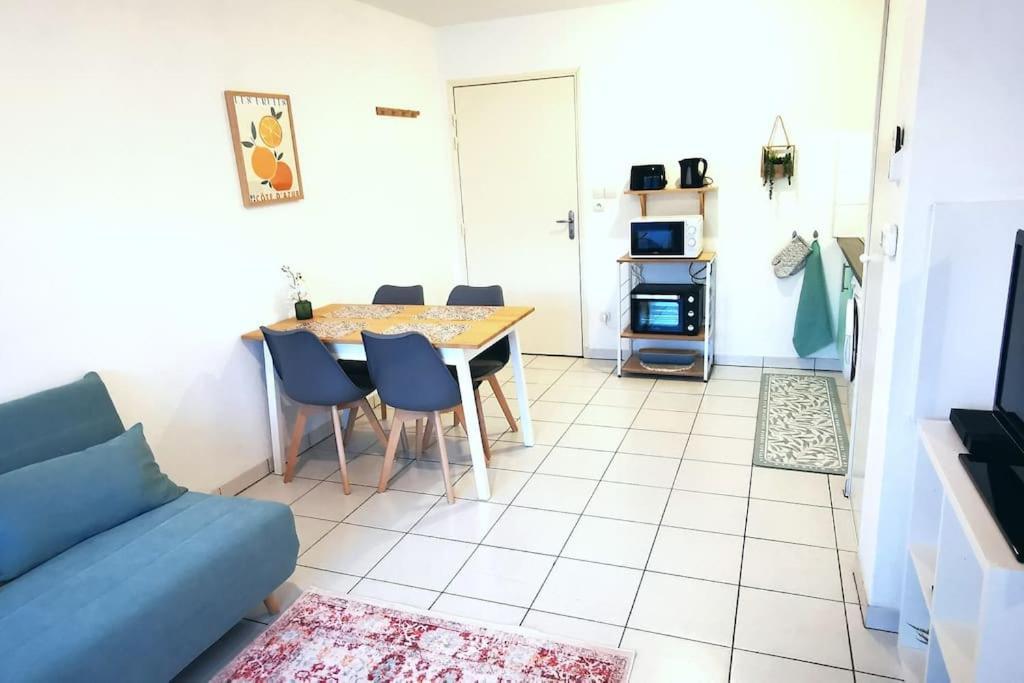Grand Studio Lumineux Et Sa Terrasse Au Calme Тулуза Екстер'єр фото