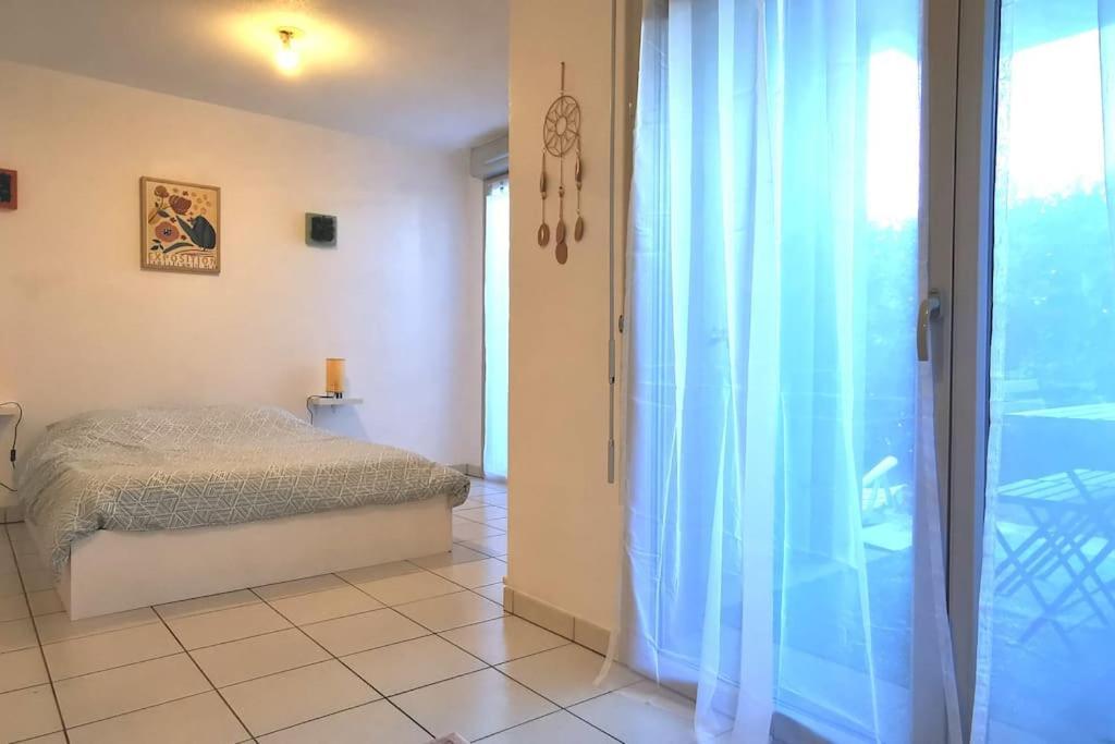 Grand Studio Lumineux Et Sa Terrasse Au Calme Тулуза Екстер'єр фото