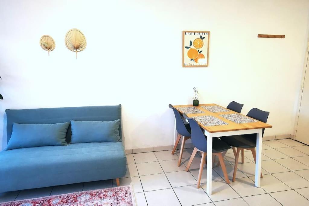 Grand Studio Lumineux Et Sa Terrasse Au Calme Тулуза Екстер'єр фото