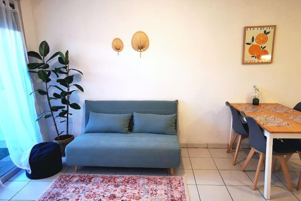 Grand Studio Lumineux Et Sa Terrasse Au Calme Тулуза Екстер'єр фото
